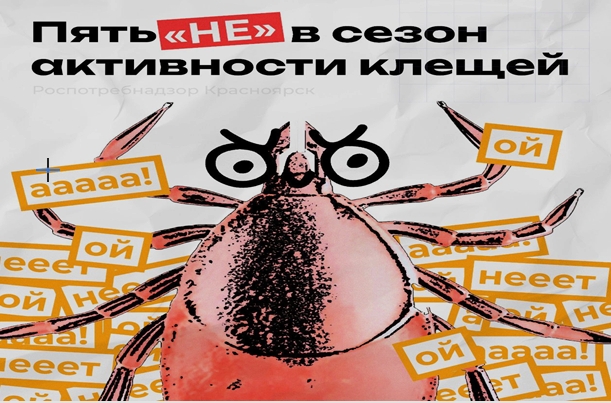 Информационные материалы.