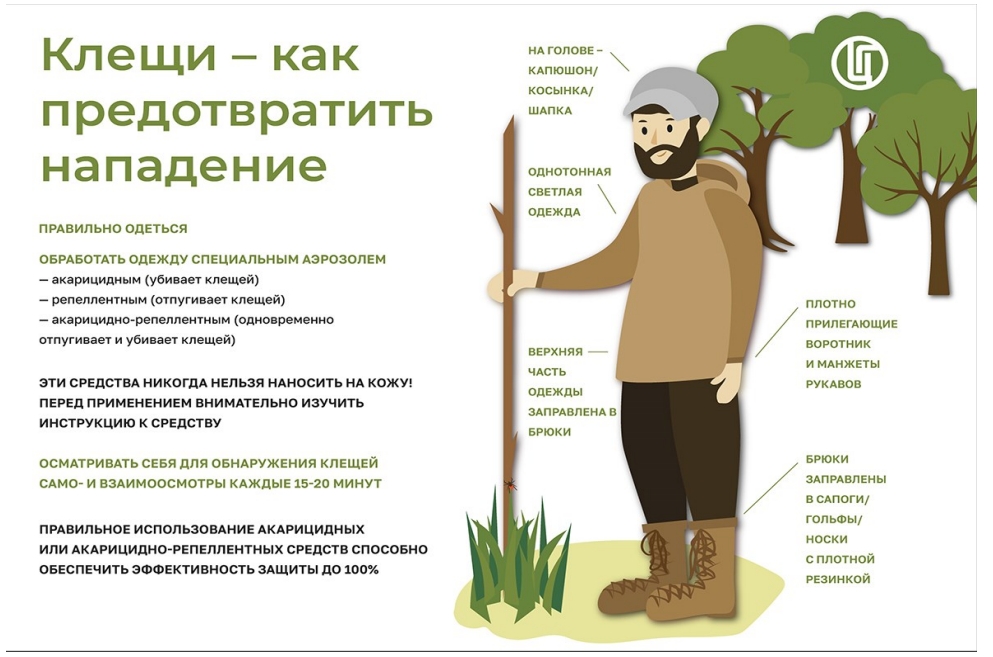 Клещи - как предотвратить нападение.