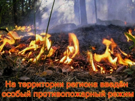 «Противопожарный режим ввели».